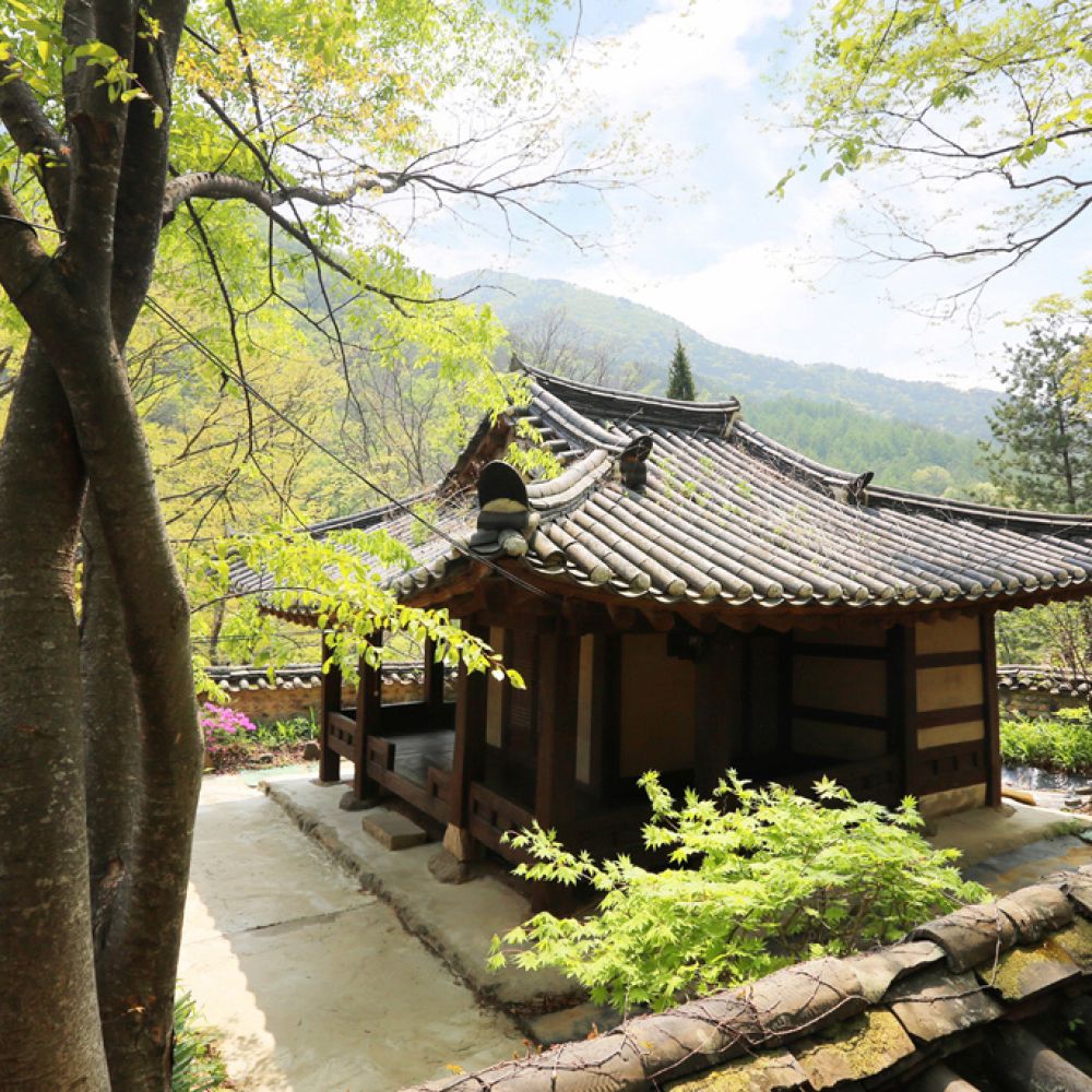 외부전경