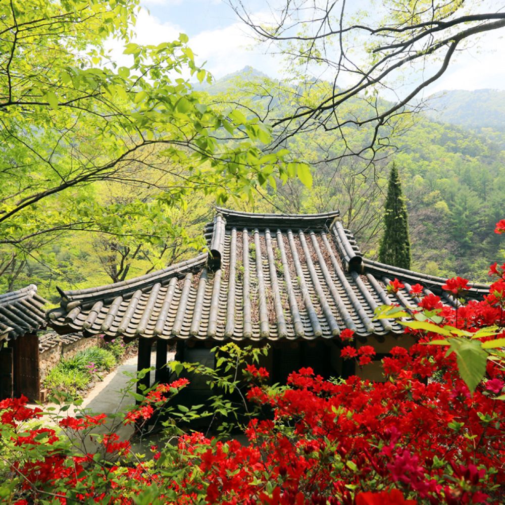 외부전경