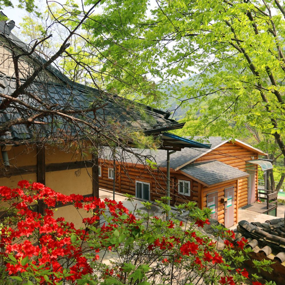 외부전경