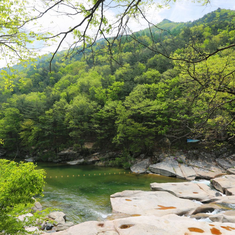 주변전경