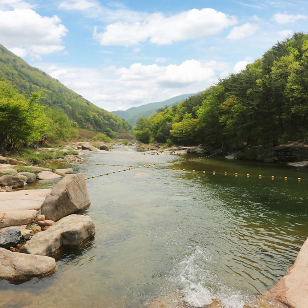 주변전경