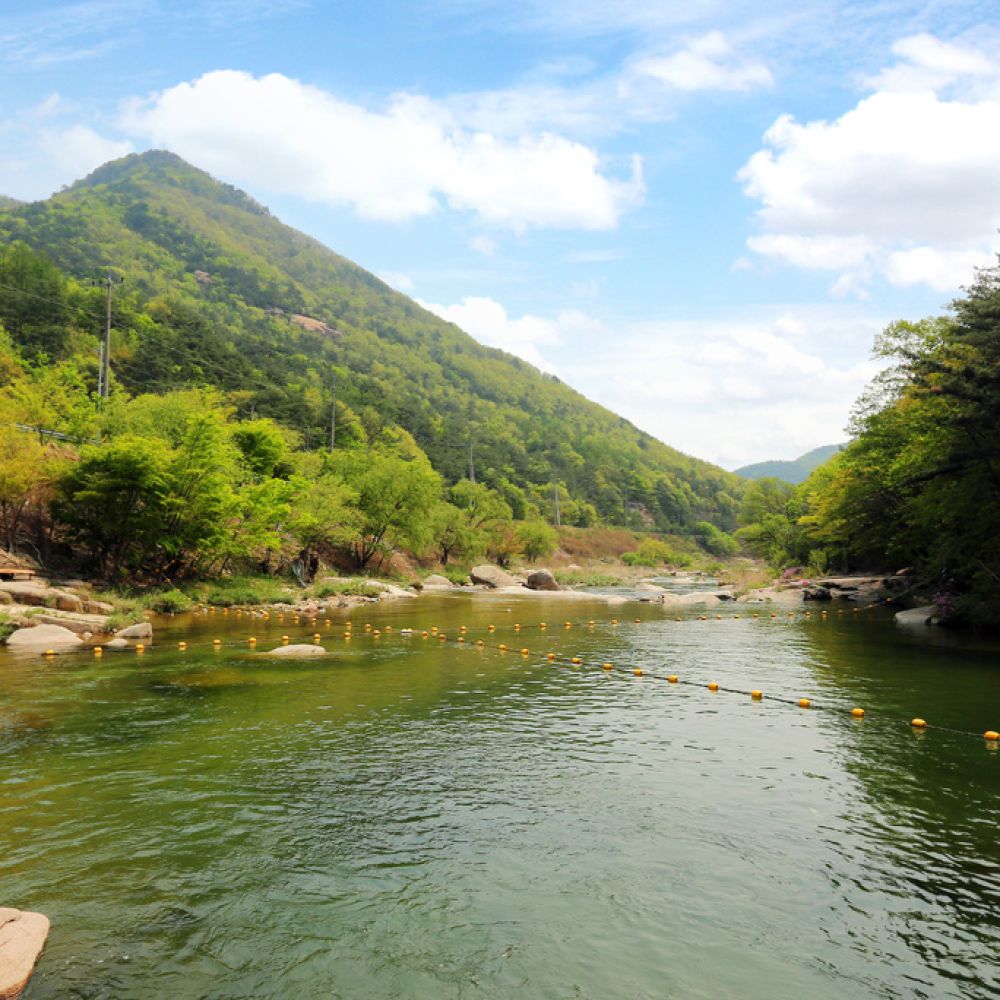 주변전경